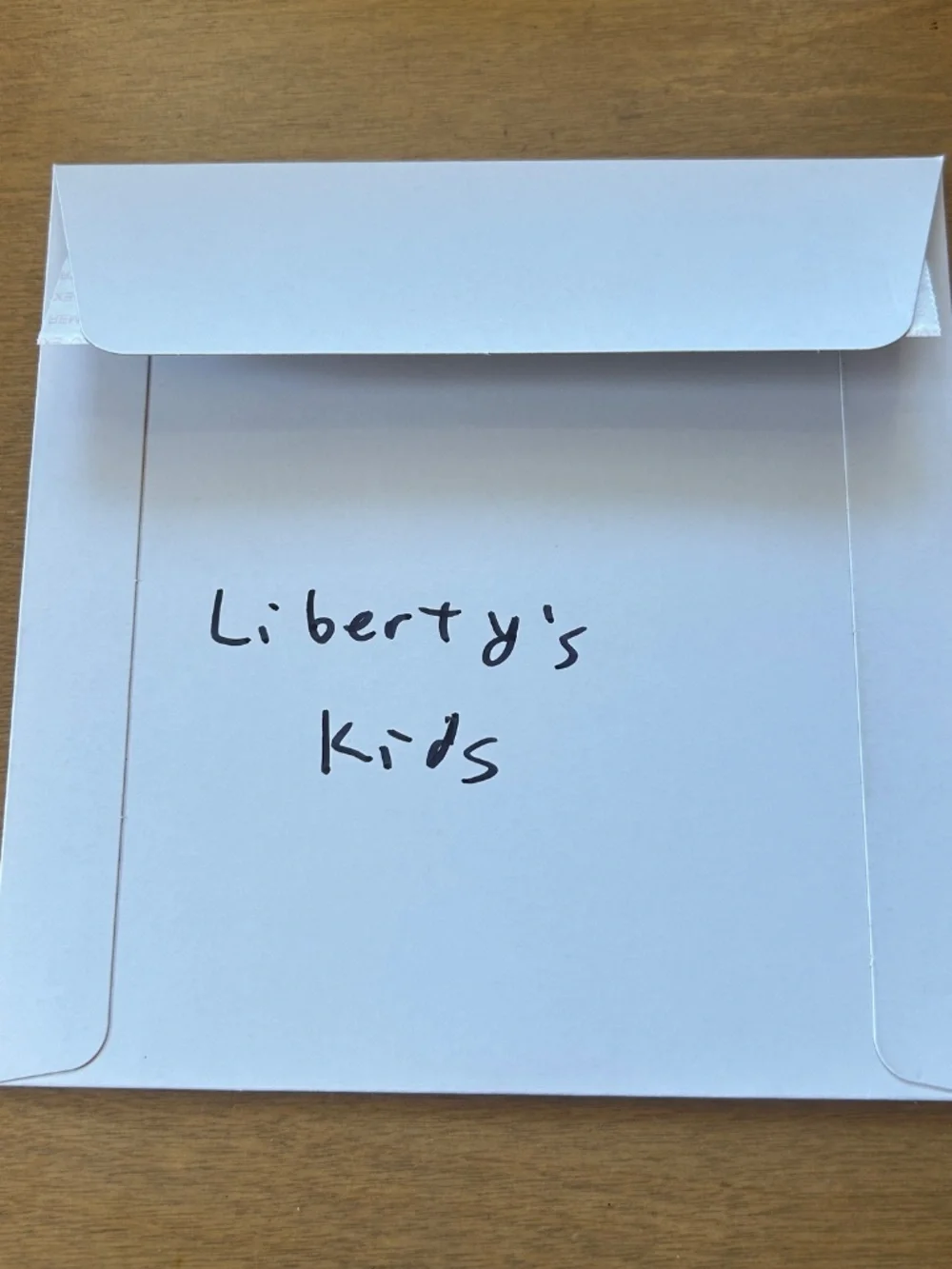 Liberty's Kids Windows Game